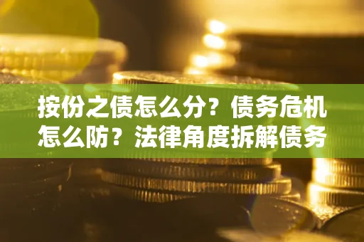 武汉按份之债怎么分？债务危机怎么防？法律角度拆解债务分配与风险自保指南