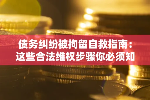 武汉债务纠纷被拘留自救指南：这些合法维权步骤你必须知道！