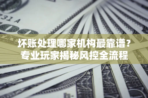武汉坏账处理哪家机构最靠谱？专业玩家揭秘风控全流程