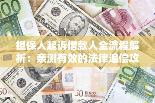 武汉担保人起诉借款人全流程解析：亲测有效的法律追偿攻略