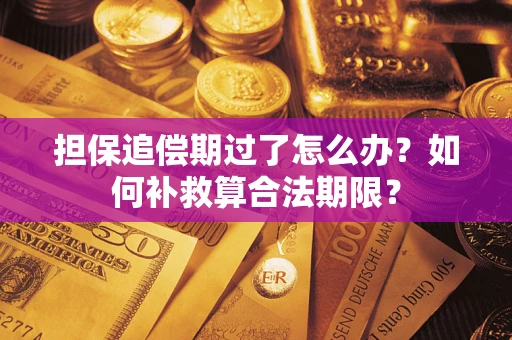 武汉担保追偿期过了怎么办？如何补救算合法期限？