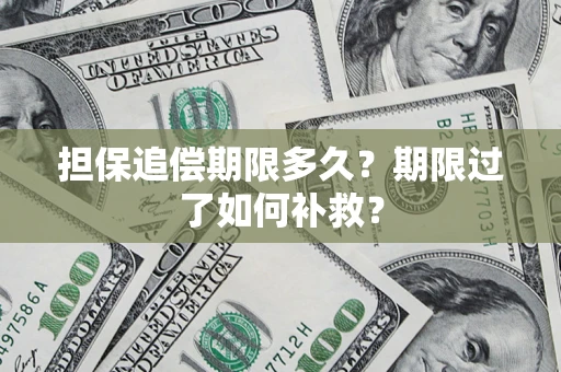 武汉担保追偿期限多久？期限过了如何补救？