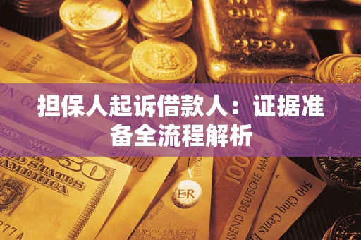 武汉担保人起诉借款人：证据准备全流程解析