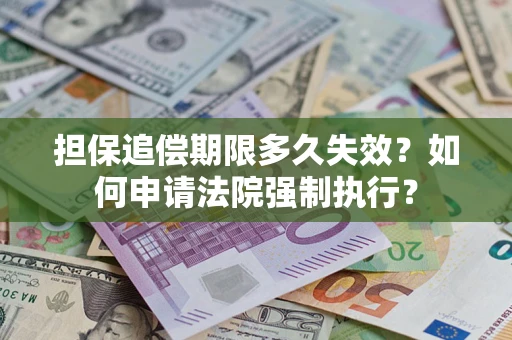 武汉担保追偿期限多久失效？如何申请法院强制执行？