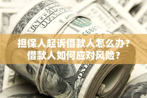 武汉担保人起诉借款人怎么办？借款人如何应对风险？
