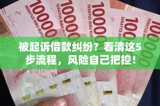 武汉被起诉借款纠纷？看清这5步流程，风险自己把控！