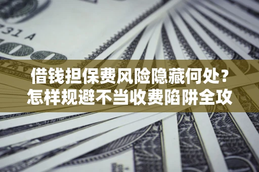 武汉借钱担保费风险隐藏何处？怎样规避不当收费陷阱全攻略！