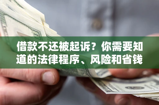 武汉借款不还被起诉？你需要知道的法律程序、风险和省钱技巧